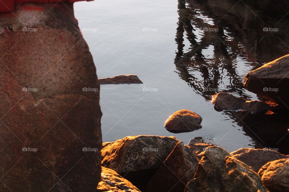 Reflection in water