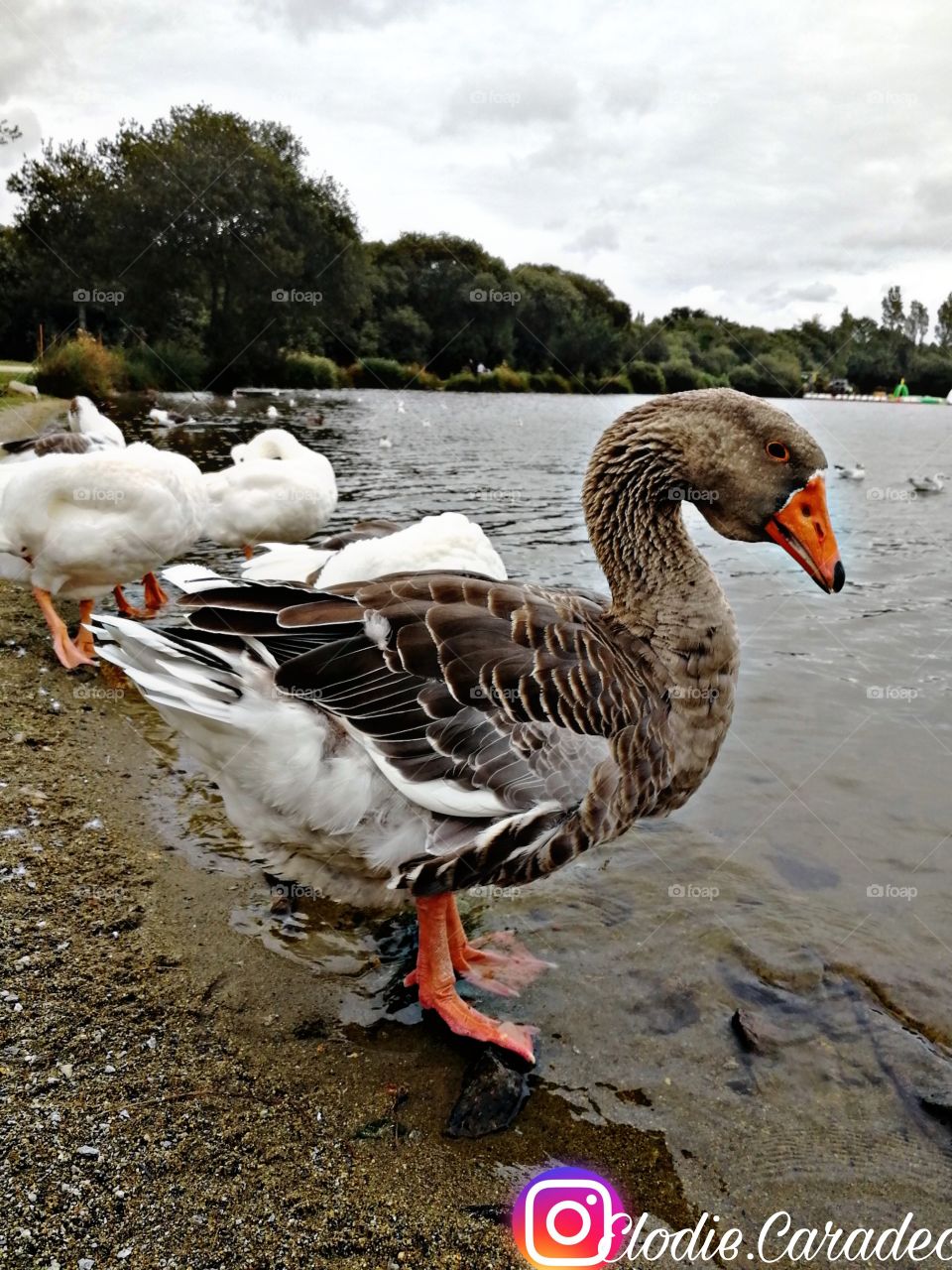 Lors d'une ballade on peut en voir des belles choses ☀️