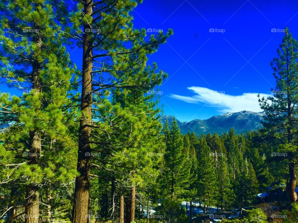 Lake Tahoe scenery