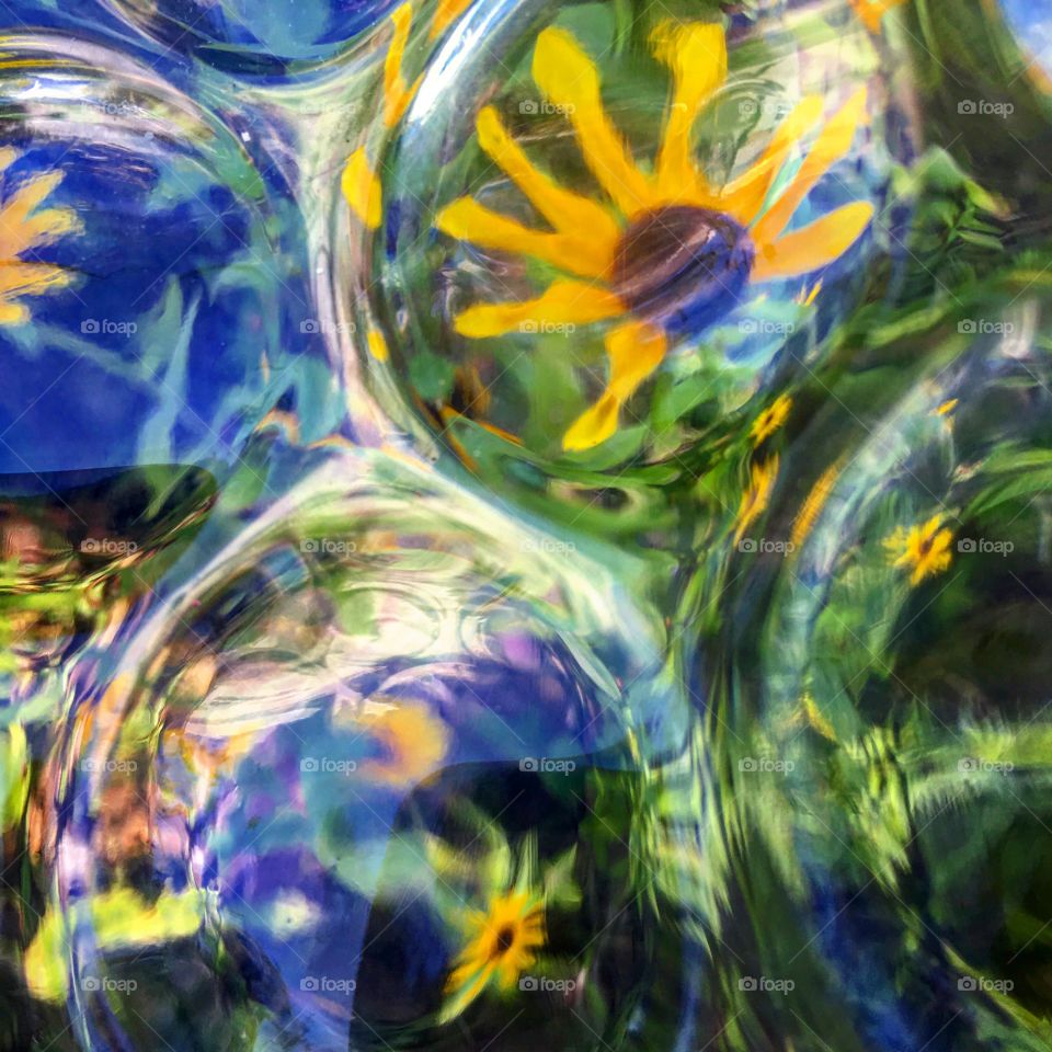 Black eyed Susan's abstract