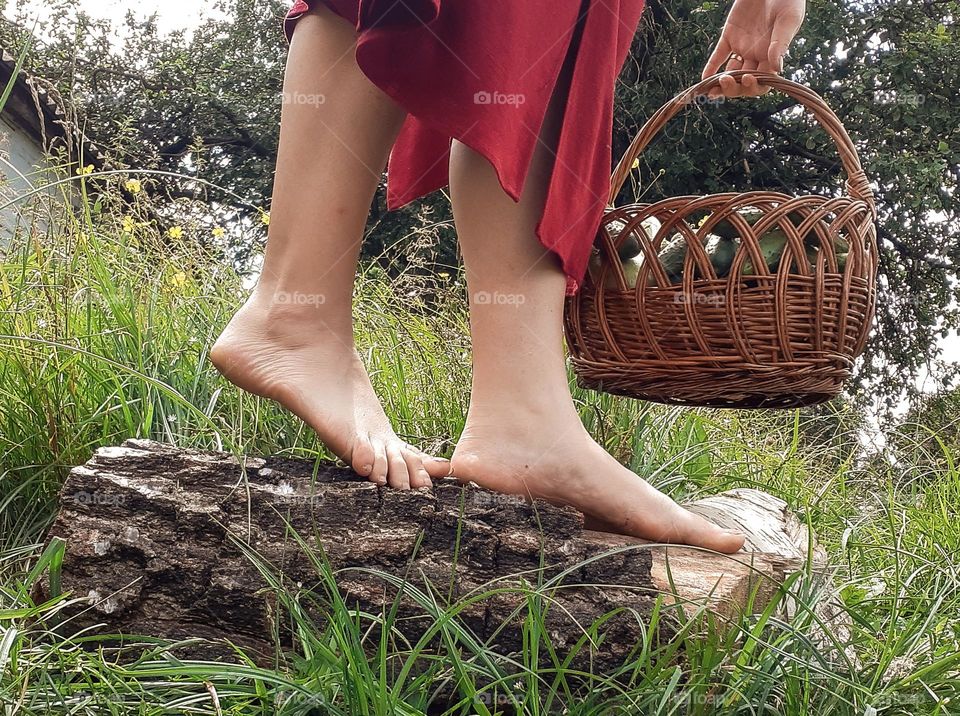 A wooden log in the grass