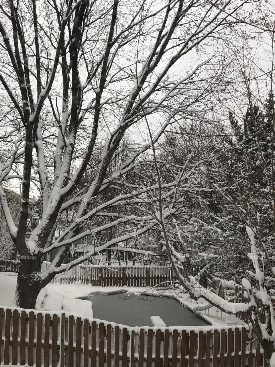 winter backyard full of white snow 