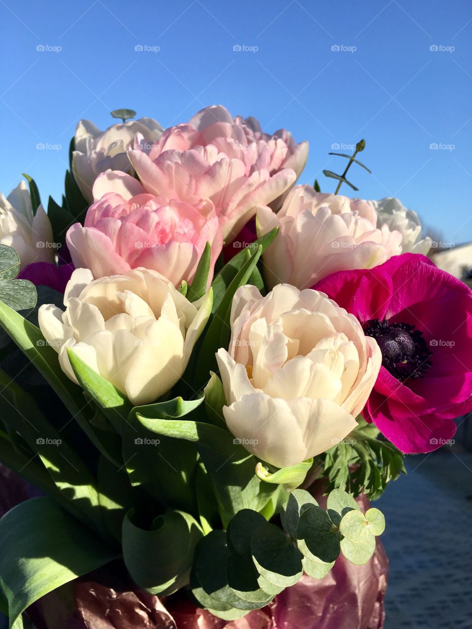 anemone and tulips