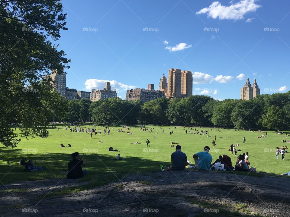 Central Park