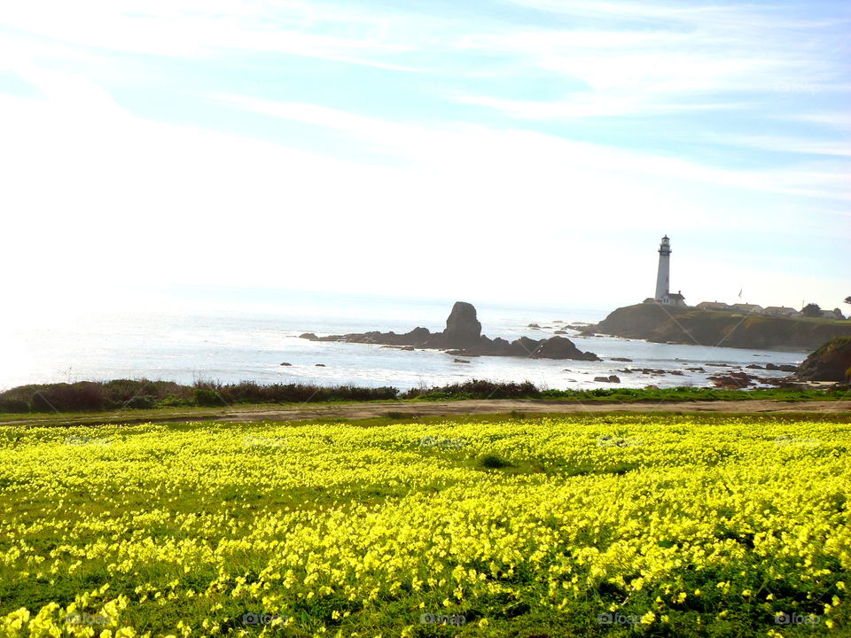 Yellow field and lighthouse