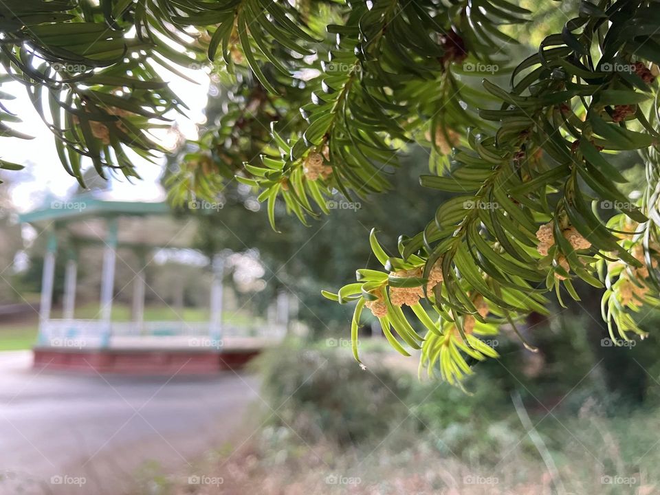 Urban nature reaching out for the last glimpse of sunlight 