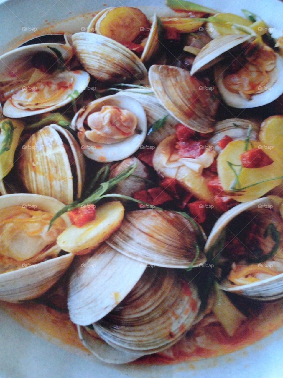 clams