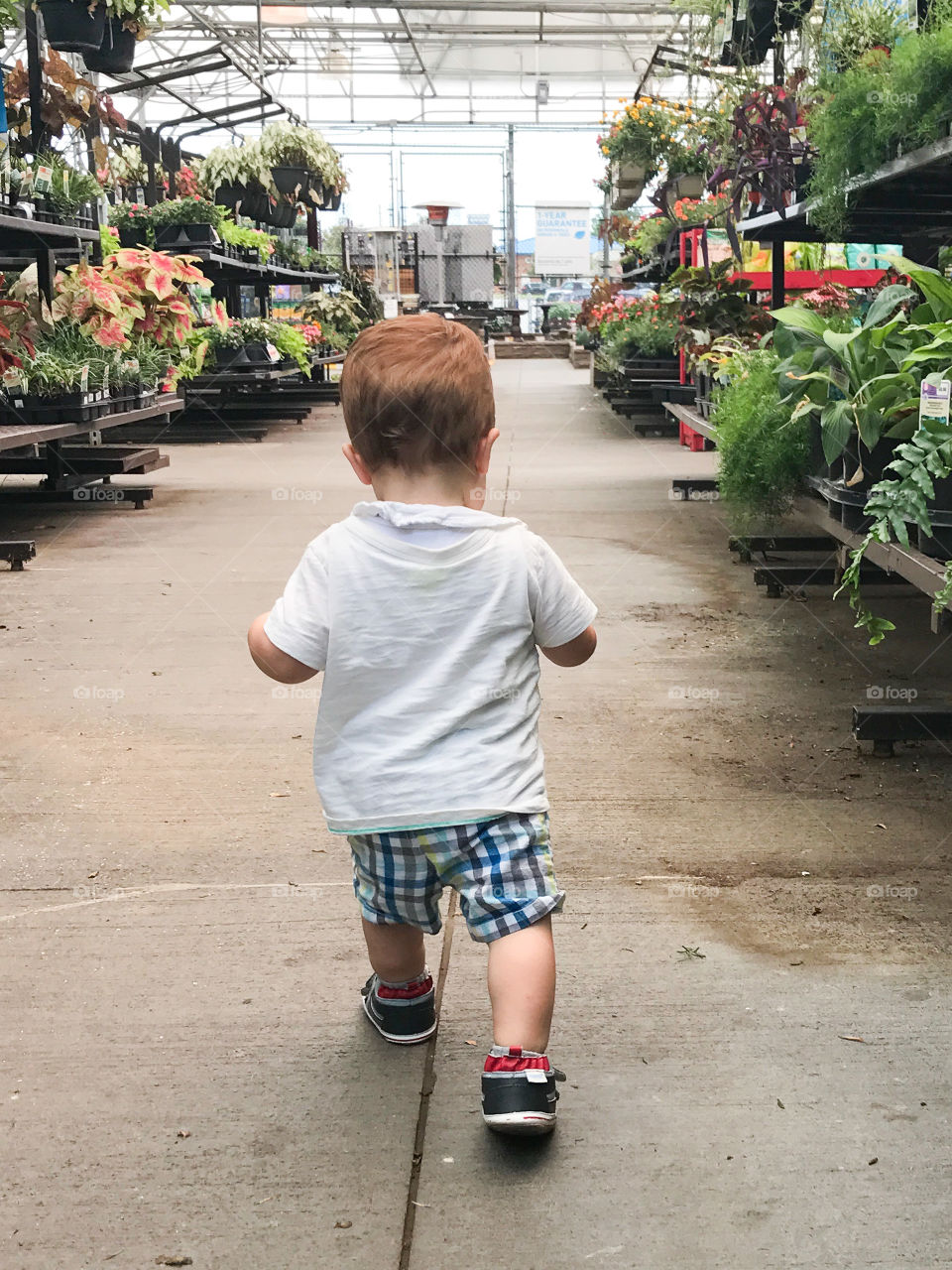 Shopping the aisles 