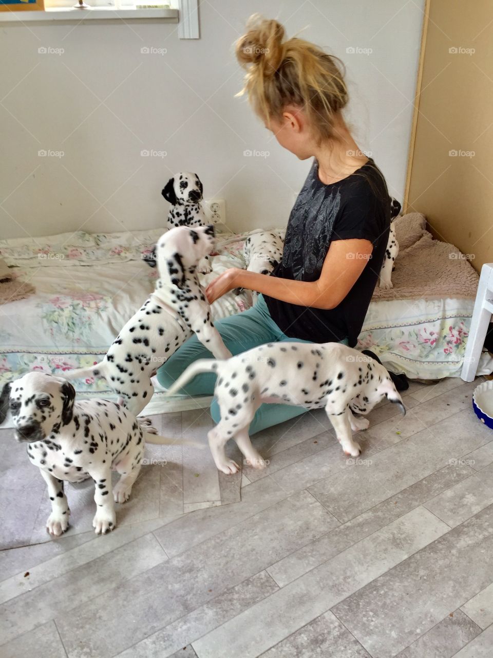 Girl with Dalmatian puppies