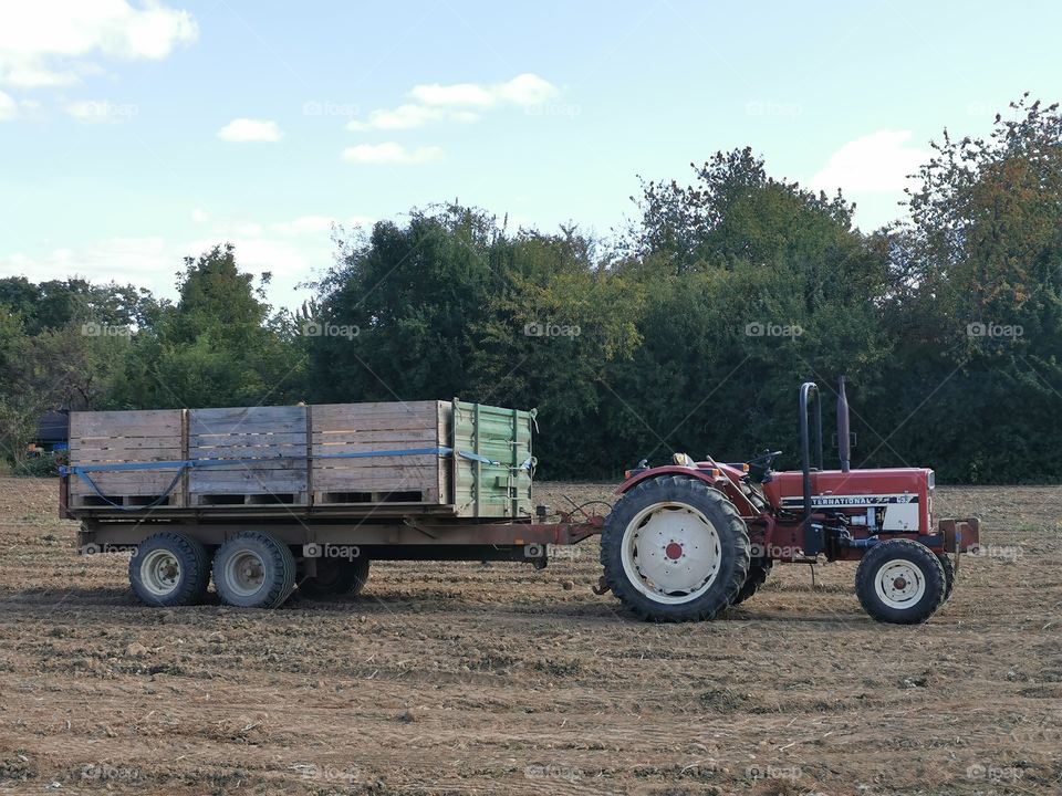 Traktor mit Anhänger steht auf dem Kartoffel Acker