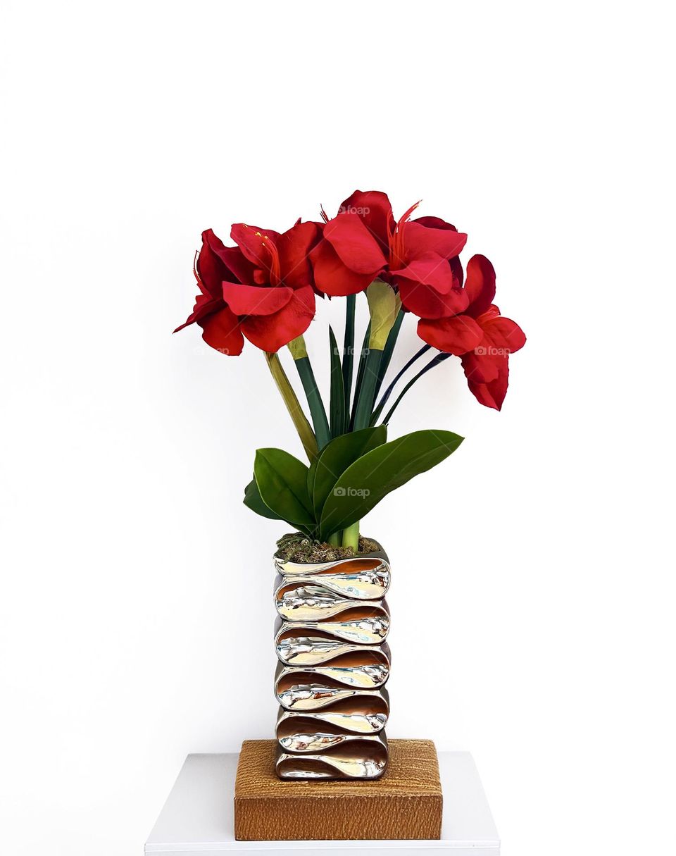 Elegant arrangement of red flowers in a modern metal vase on a white background. Minimalist style, a combination of natural and glossy textures creates a stylish interior accent.
