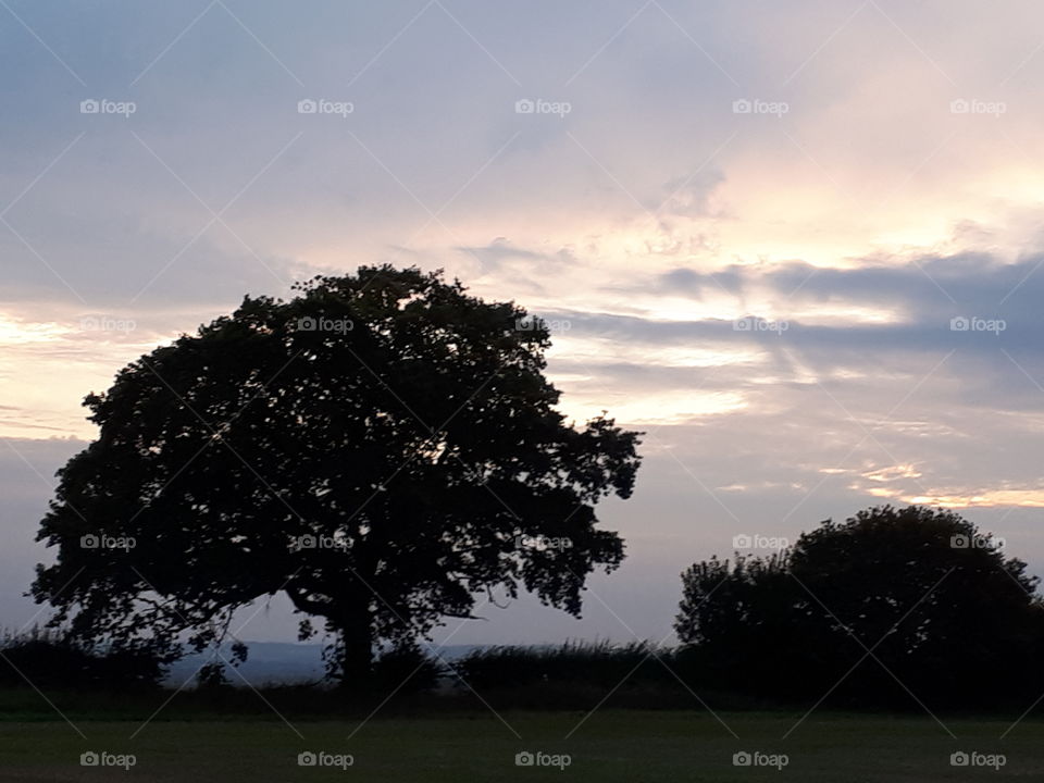 Dusk In The Countryside