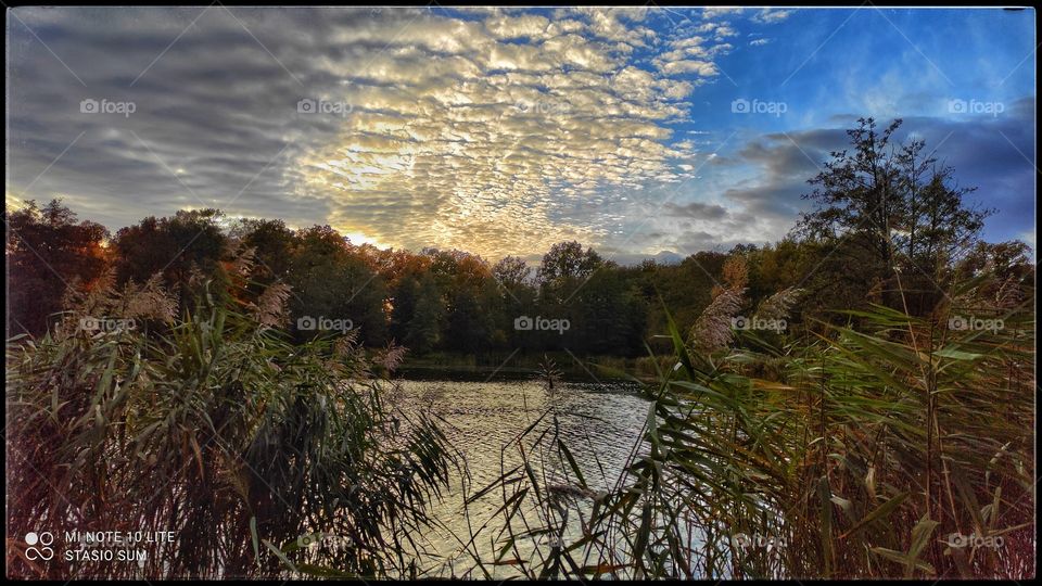 Polish golden autumn