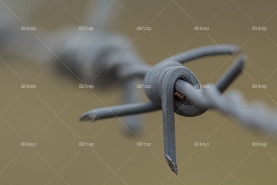 barbed wire