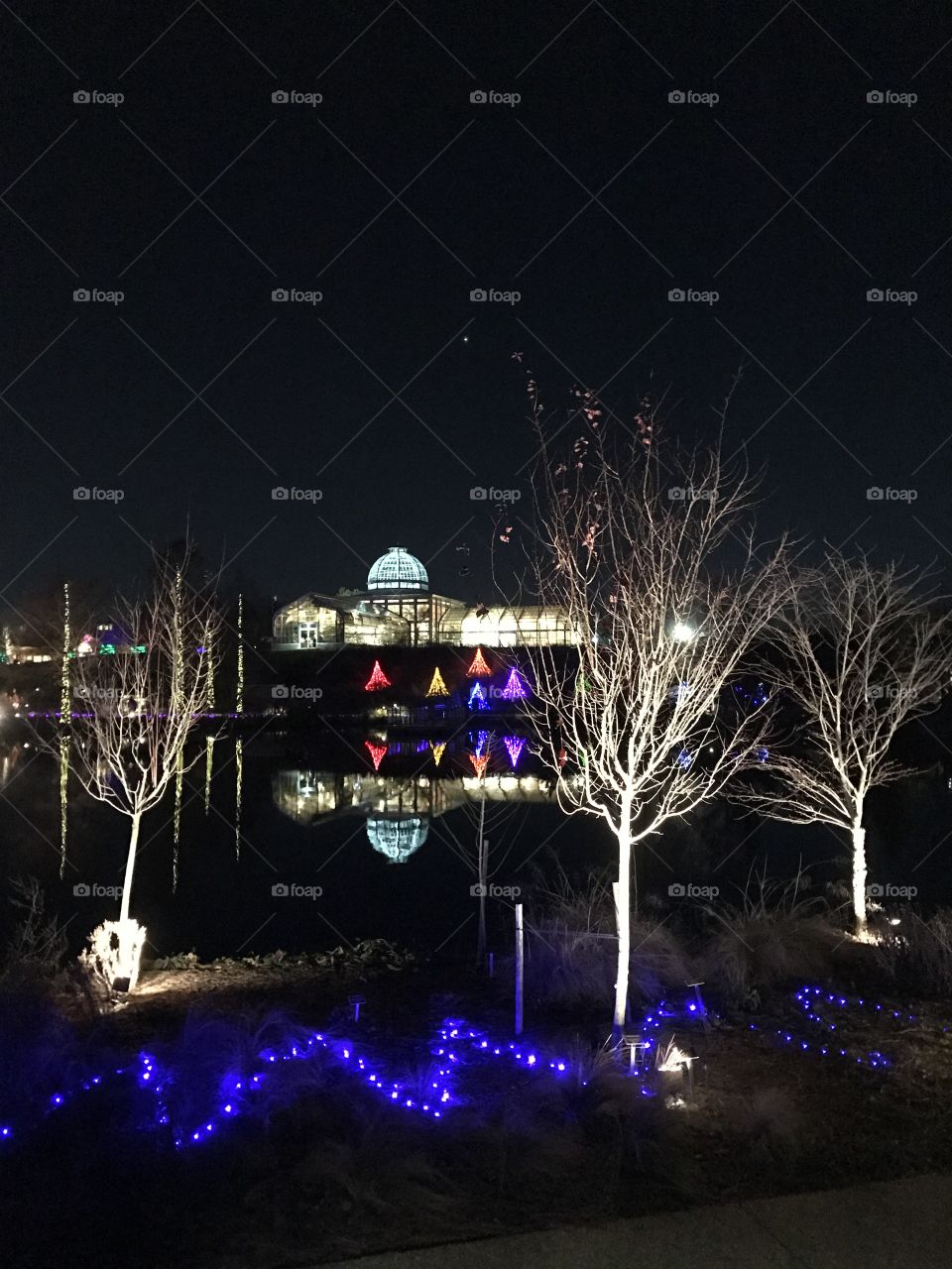 Illuminated building behind illuminated trees