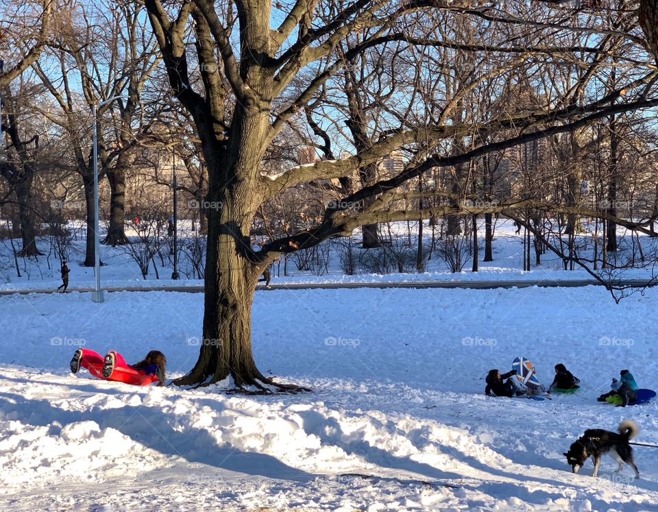 Kids enjoying sleigh riding 