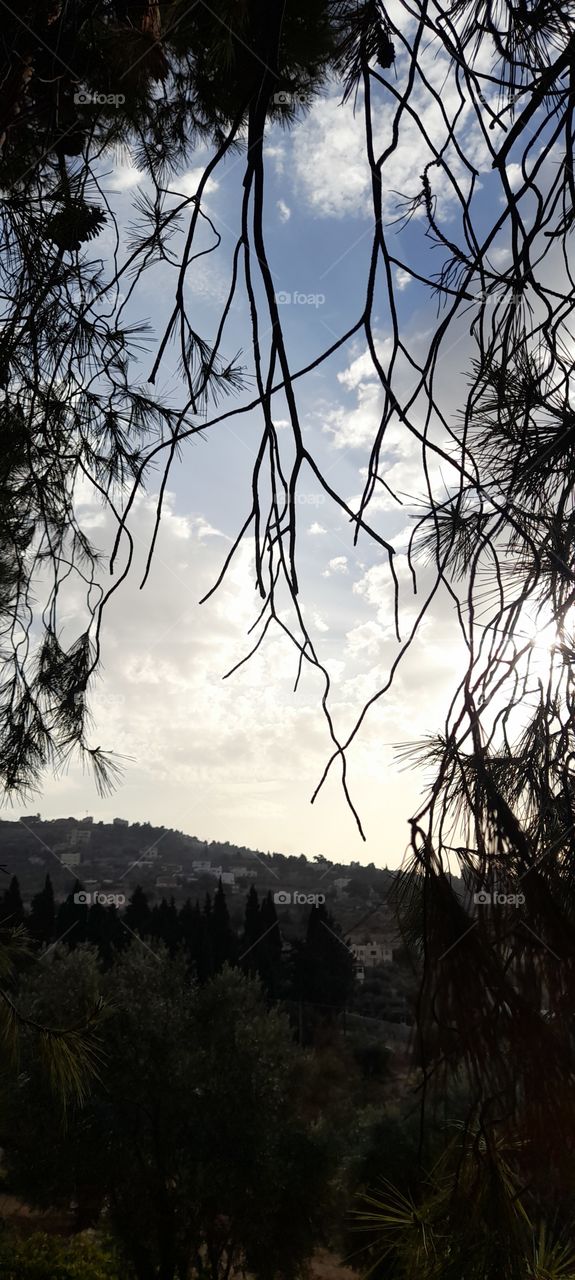 beautiful place in Jordan 🇯🇴