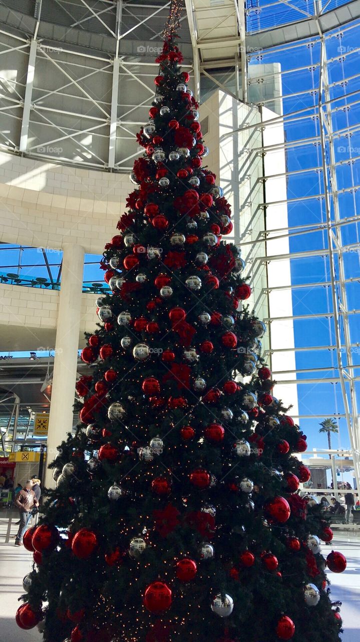 Huge christmas tree 