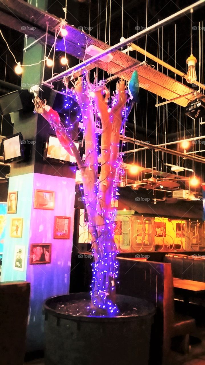 Indoor Tree Lights