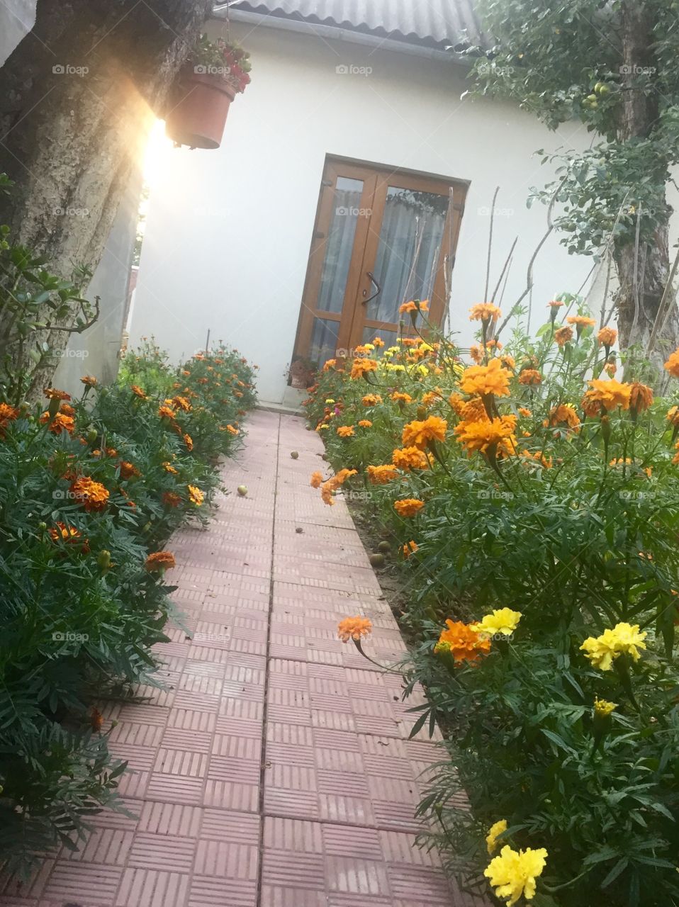 Walkway to door with flowers