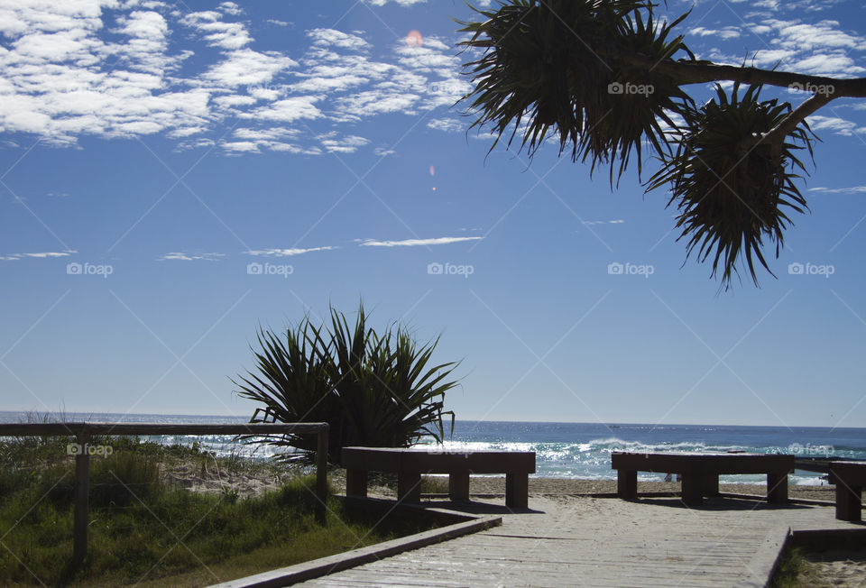 Beach Scenery 