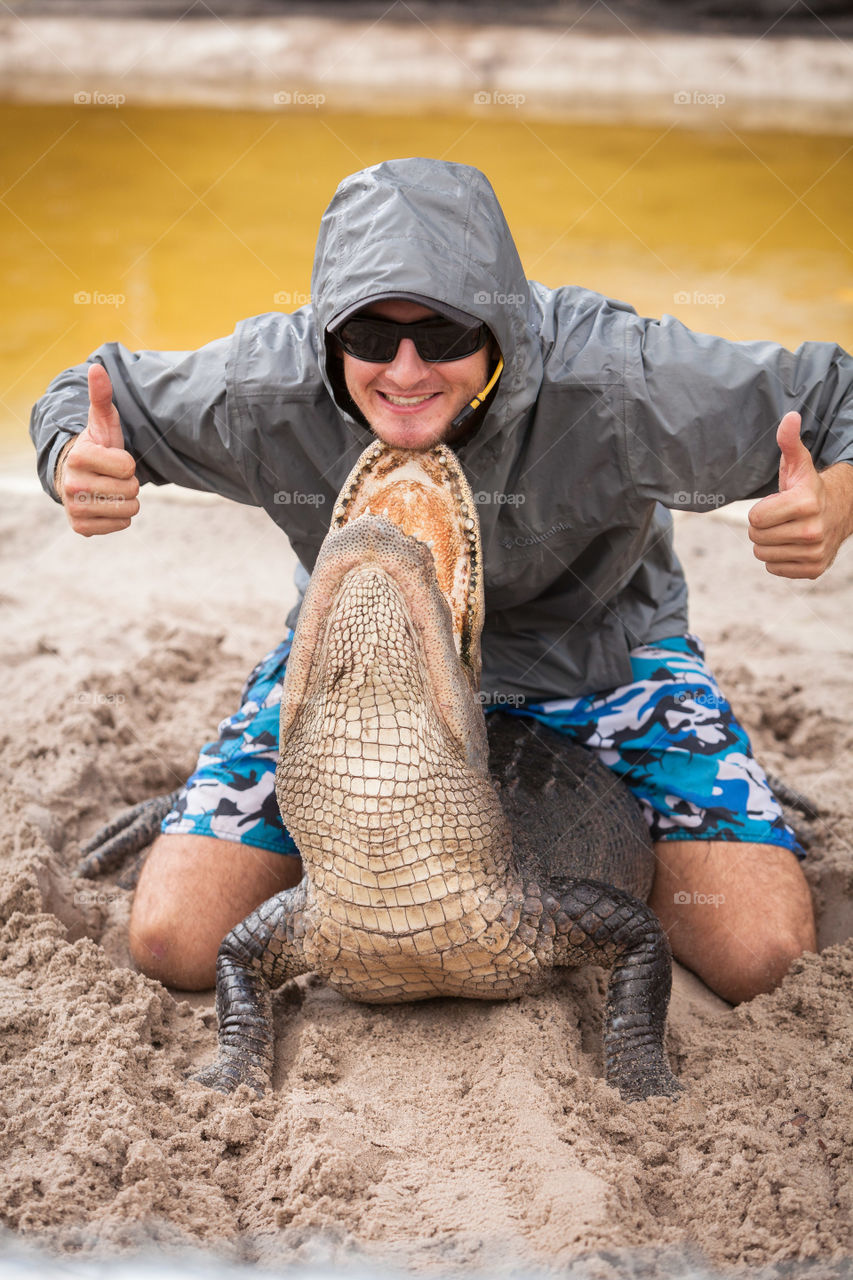 Young man wrestling an alligator at alligator farm, Florida, USA 