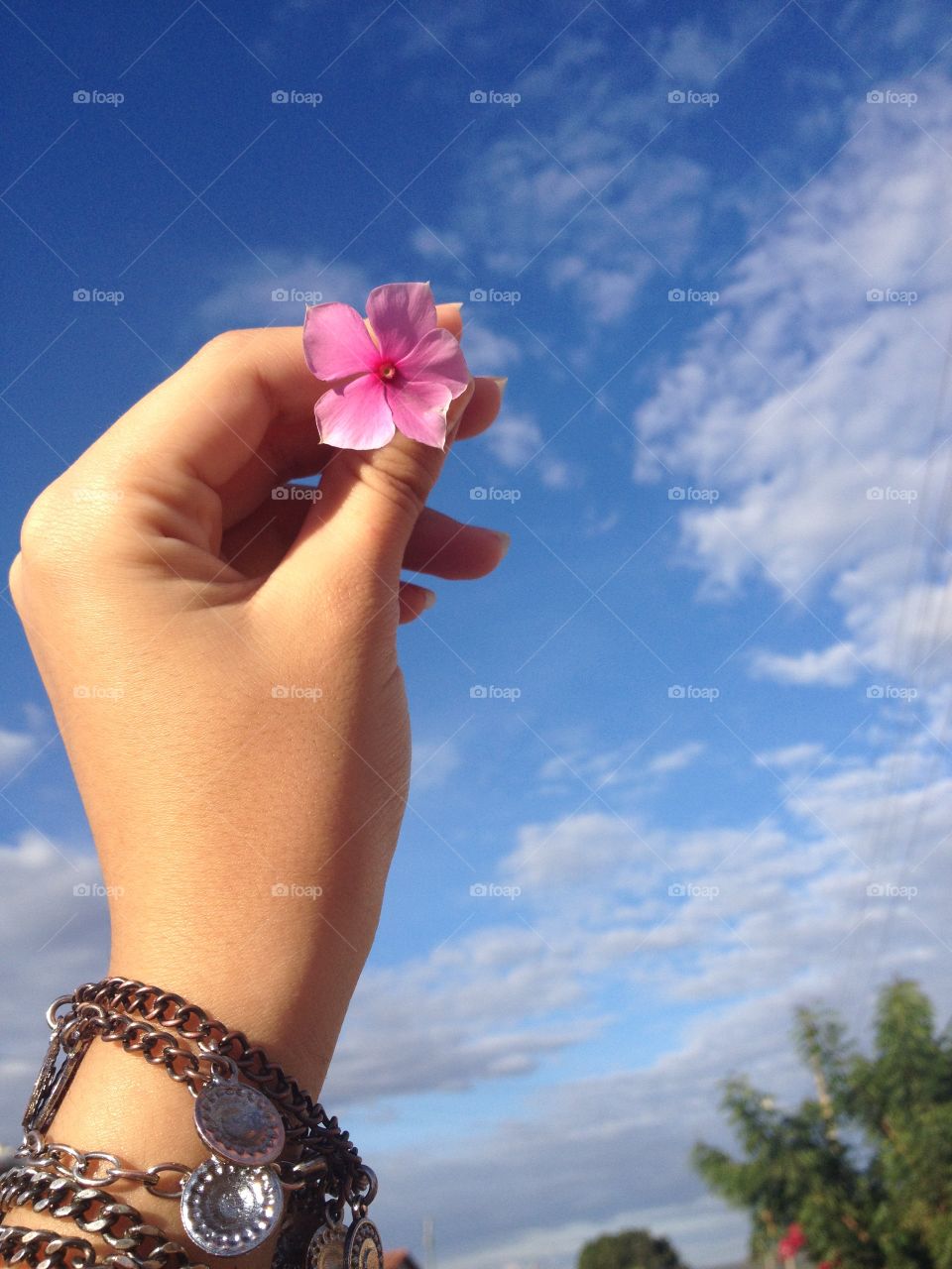 Uma flor delicada e simples destacada no céu azul 💧