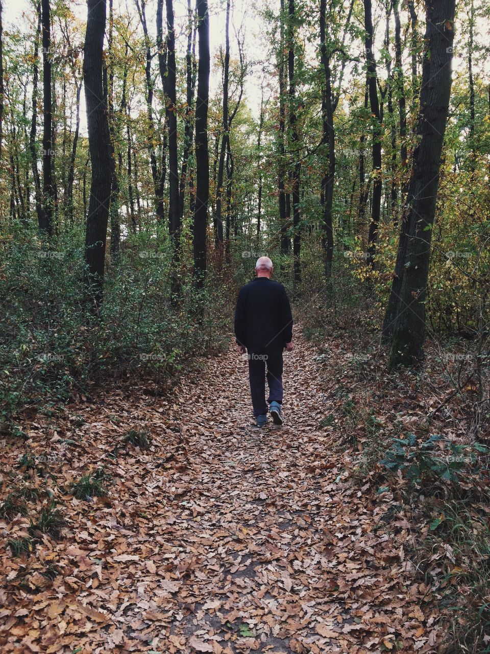 A casual walk through the woods. Walking down the forest trail on a beautiful autumb day.