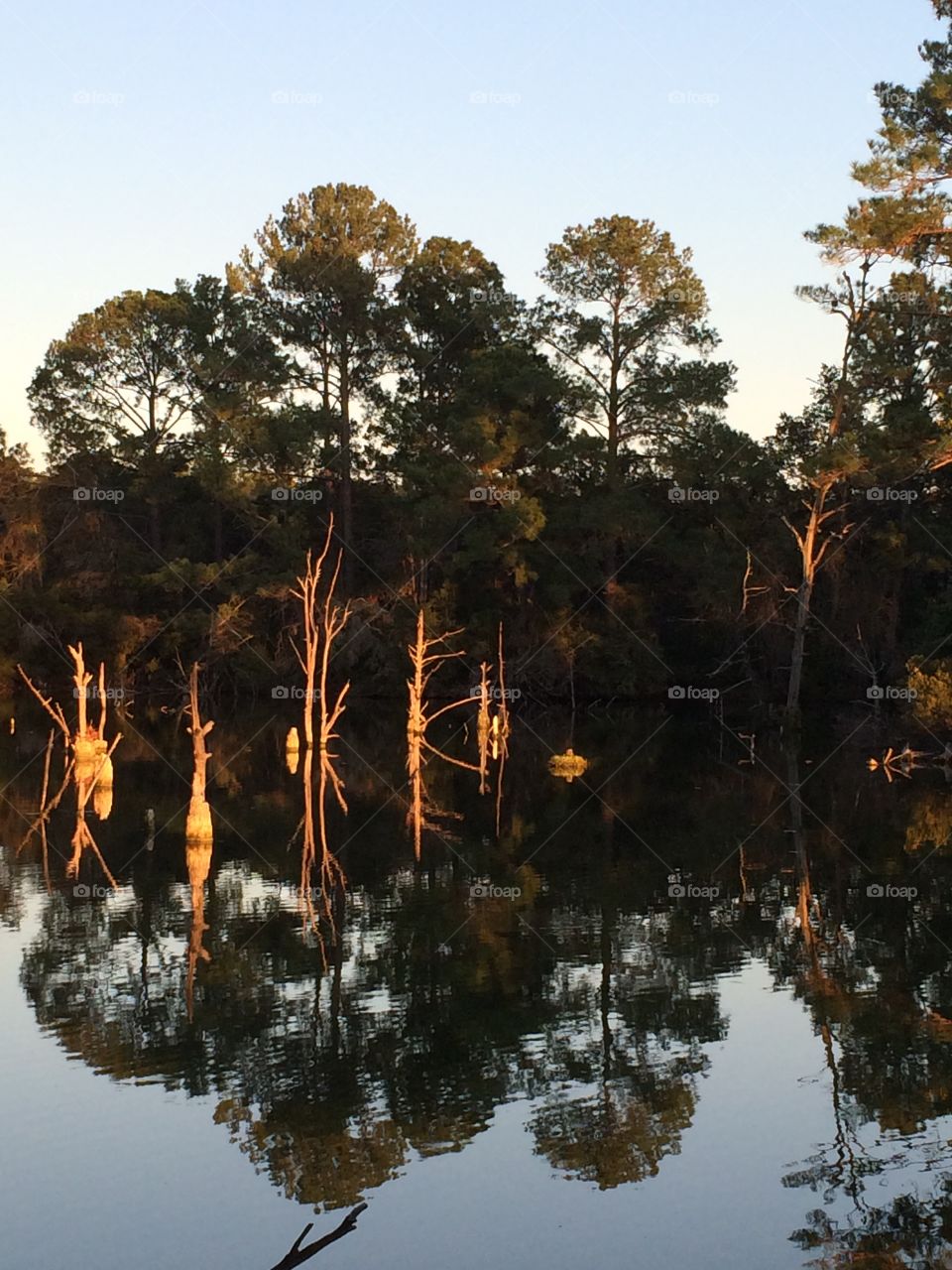 Texas Lake Reflection