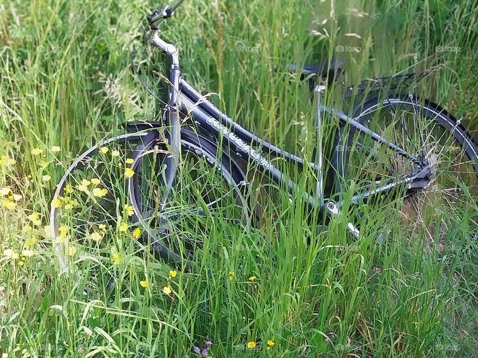 lonely bicycle