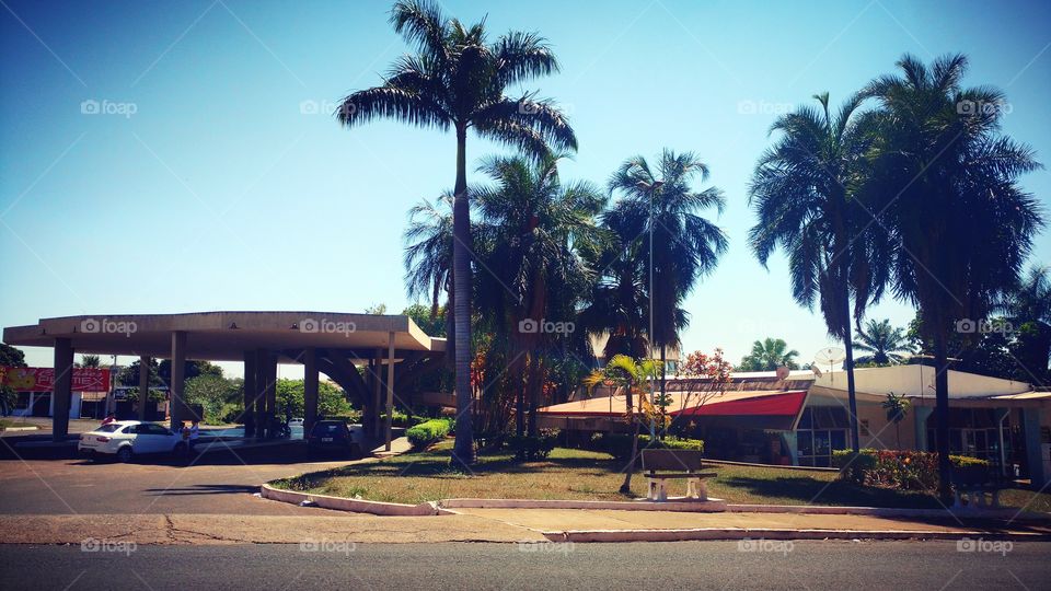 Arquitetura de concreto. Estação Rodoviária.