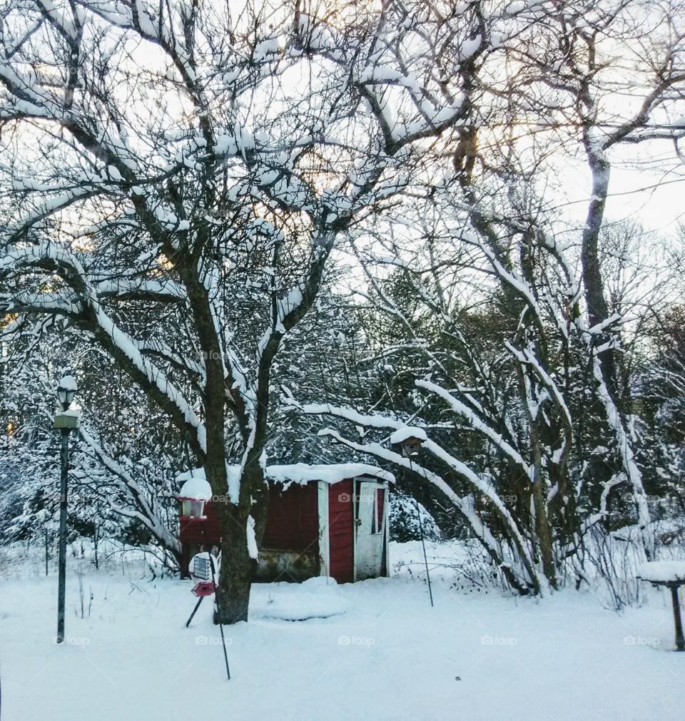 snowy shed