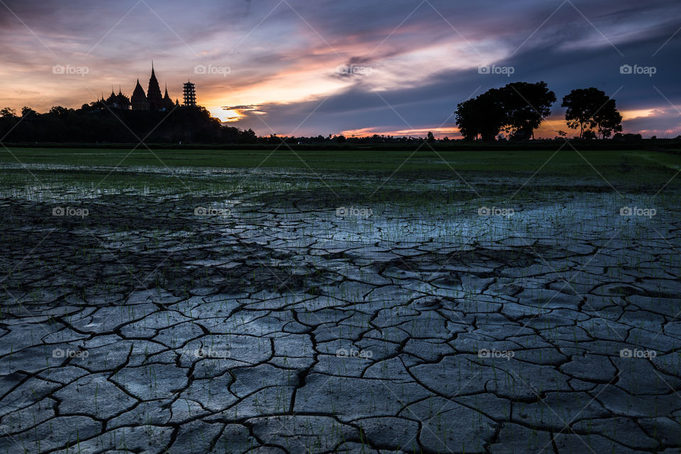 Sunrise at Agricultural land