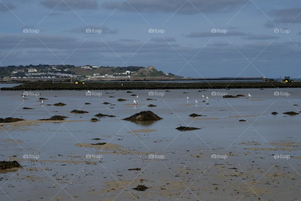 The Oyster Farmers and Mont Orgueil Castle Jersey. Looking east from Icho Tower, St Clement