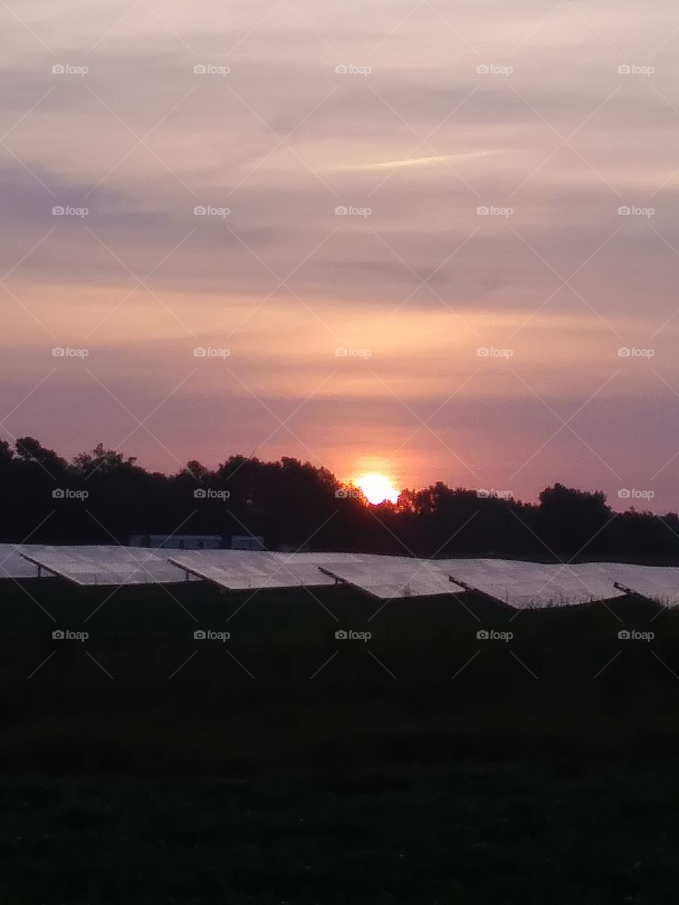 solar farm sun rise!