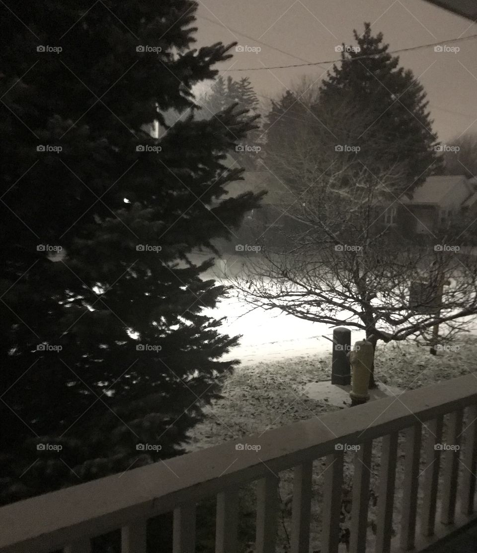 First snow of 2019