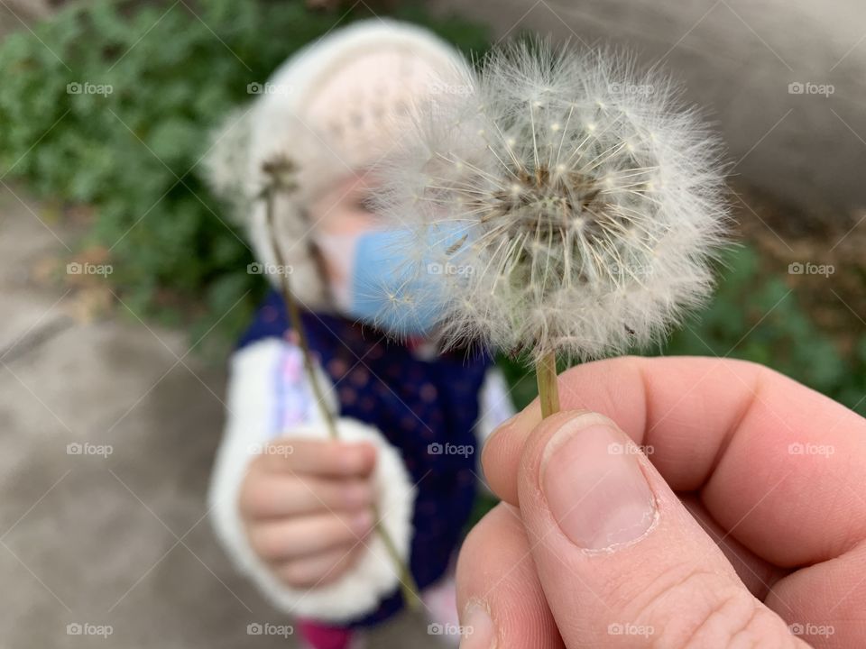 Diente de león y niña
