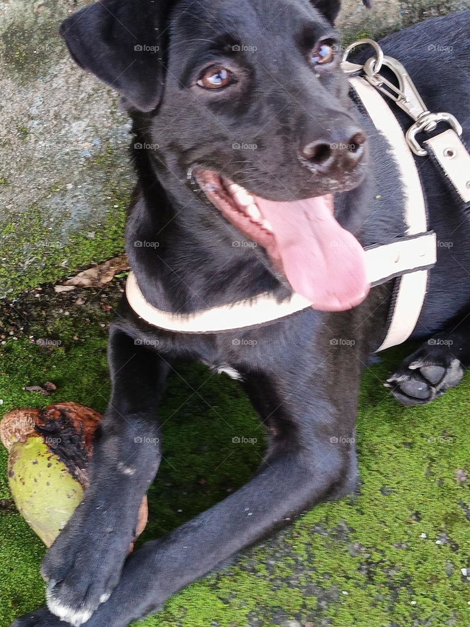 olhos brilhantes e felicidades estampado   no rosto depois de um passeio matinal