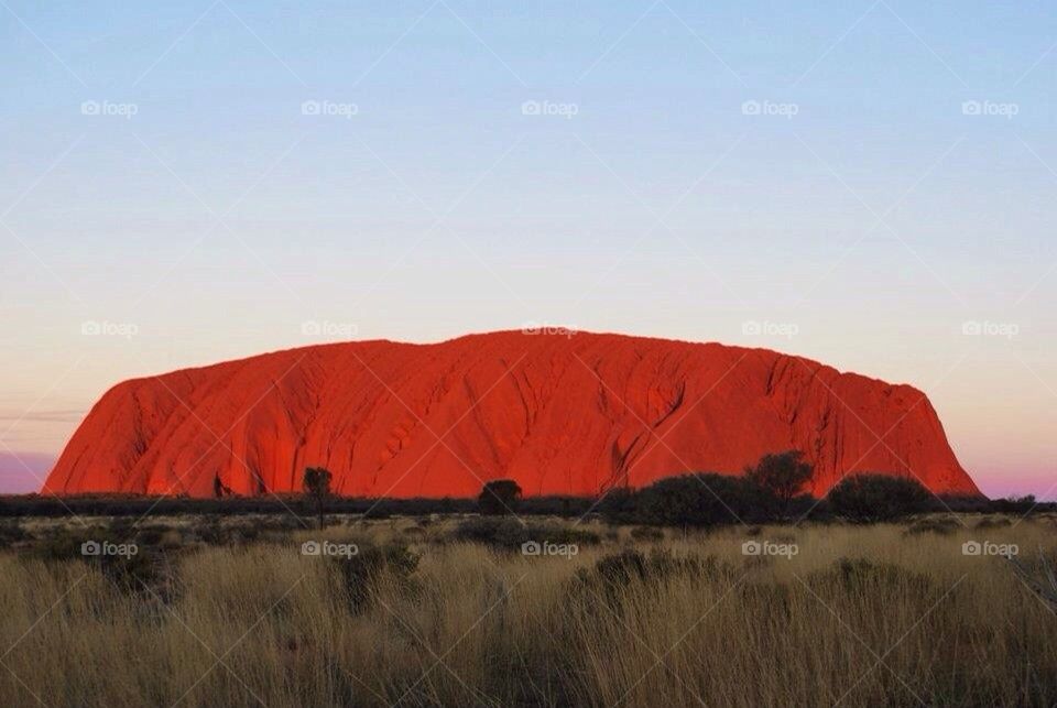 Wild Australia 