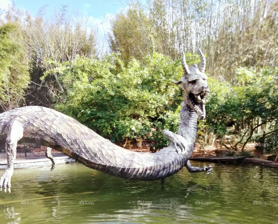 dragon over water