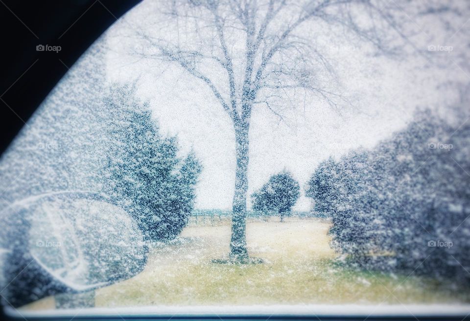 Icy Car Window