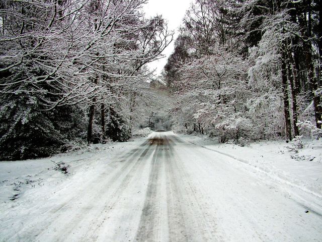 winter
