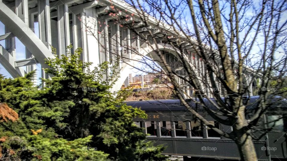 Henley Street Bridge & Three Rivers Rambler Train