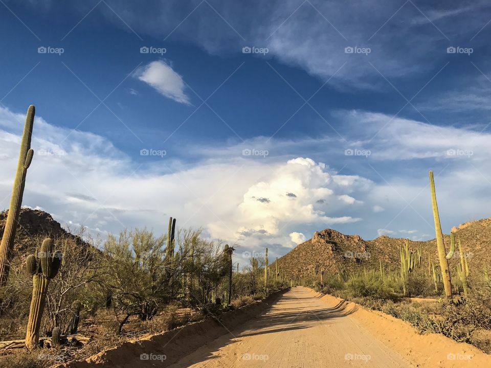 Travel Desert Landscape - Dirt Road