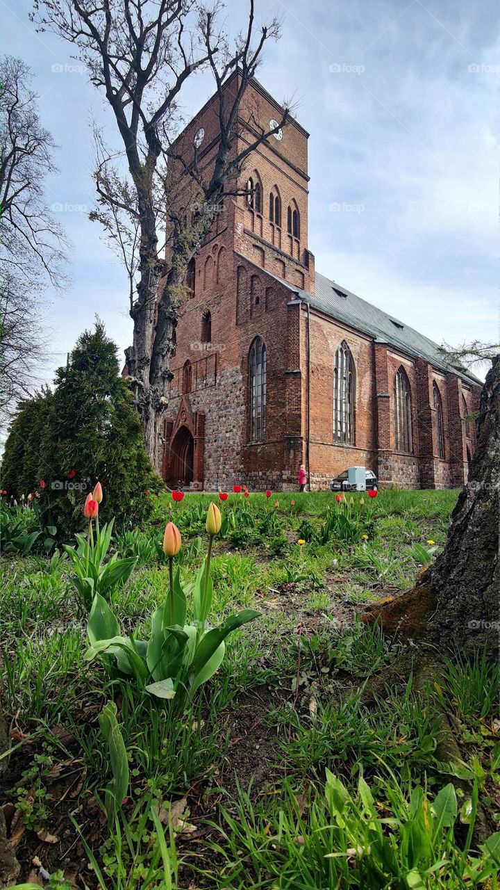 Old Poland cathedral in small city Pyrzyce