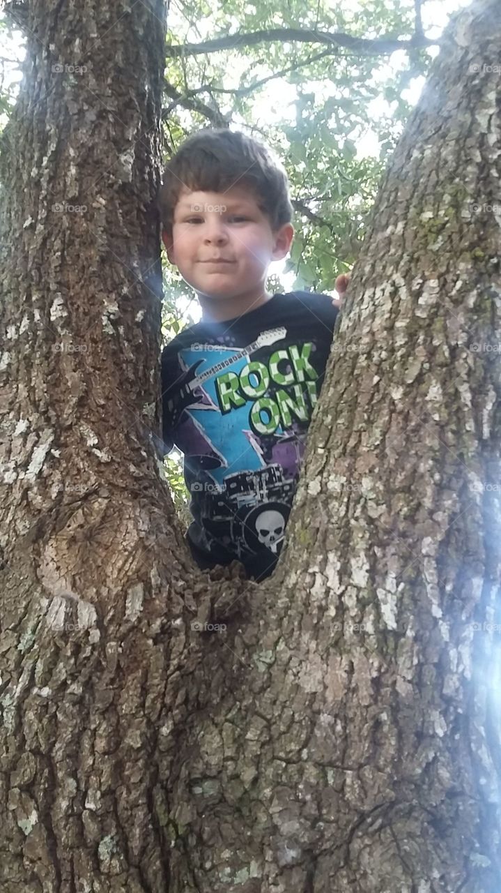 My boy in a tree