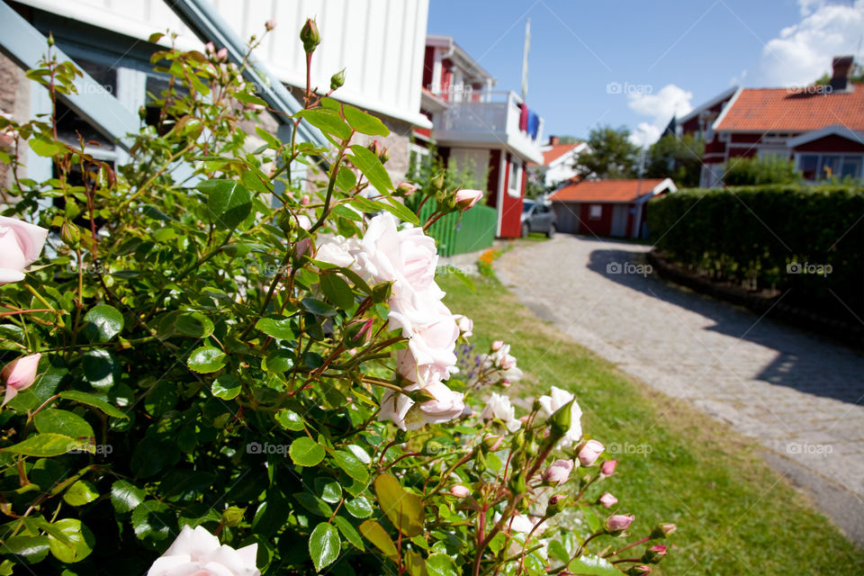 Village by the Sea . Mollösund Sweden 