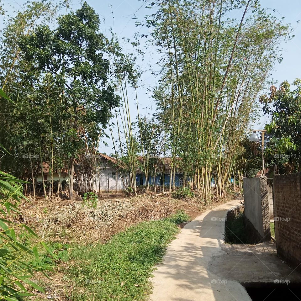 Kebun Bambu