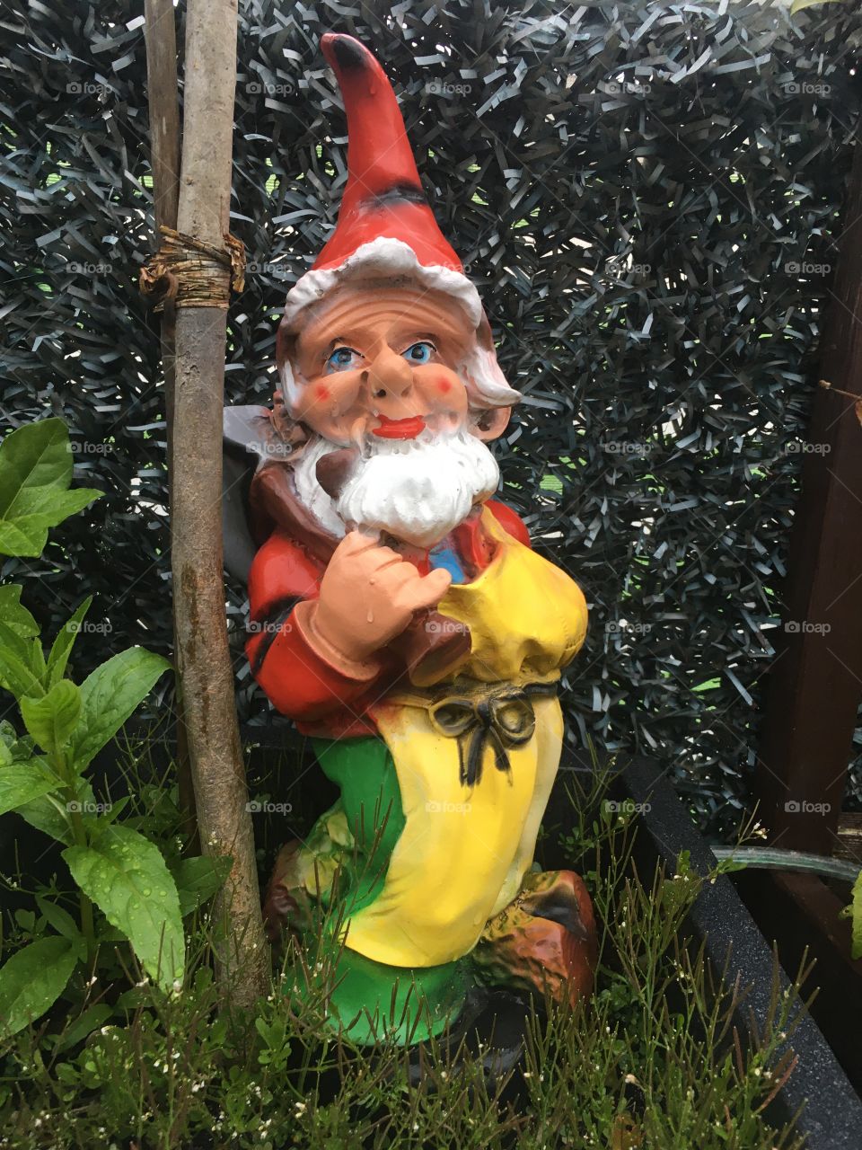 little funny garden gnome