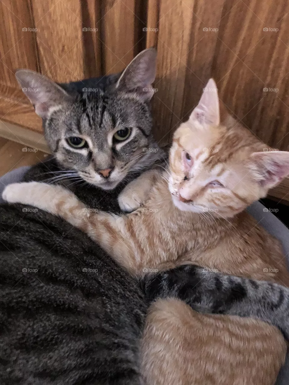 Annabel Lee and Little Ed 